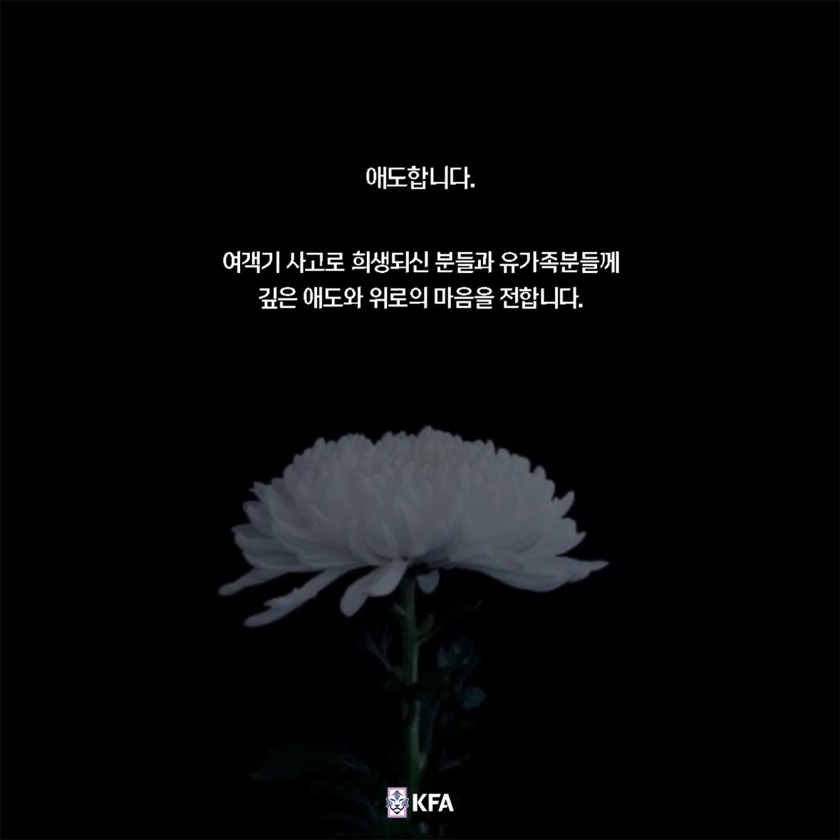 ️韩国客机着火179人遇难!韩国队官方发文哀悼:愿逝者安息 1 ️韩国客机着火179人遇难!韩国队官方发文哀悼:愿逝者安息
