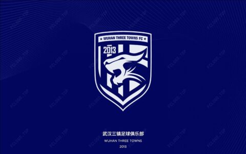 记者：武汉三镇13名球员合同到期，不少已开始寻找下家