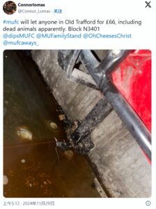 老特拉福德球迷看台出现死老鼠，球迷吐槽：它肯定也花了66英镑