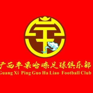 准入有望？足球报：南宁企业收购平果哈嘹100%股权