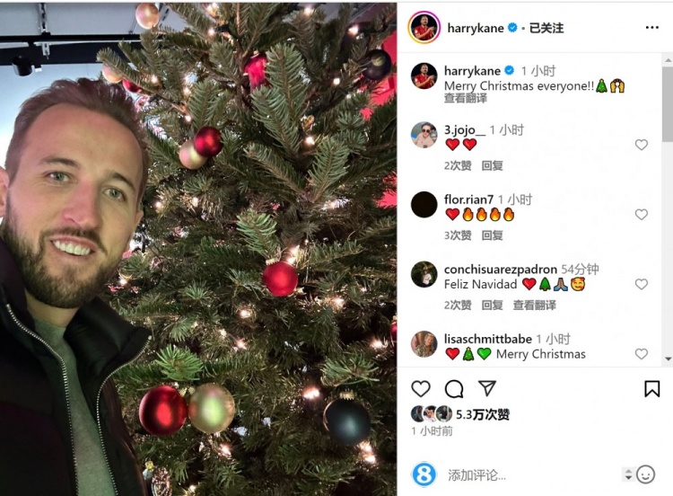 凯恩社媒晒与圣诞树合照：祝大家圣诞快乐！
