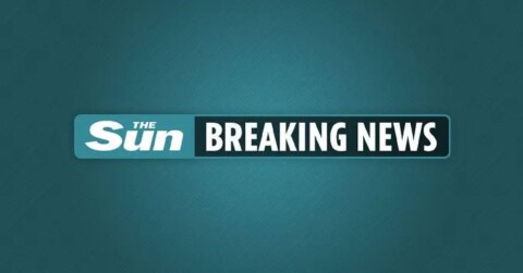 郭嘉璇事件引发国际关注，太阳报发文使用“Breaking”标题