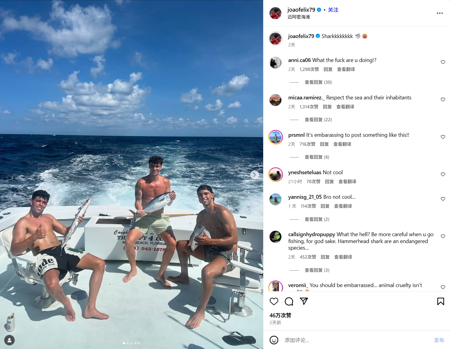 被批虐待动物🧐菲利克斯晒海钓鲨鱼视频，网友：请尊重海洋！